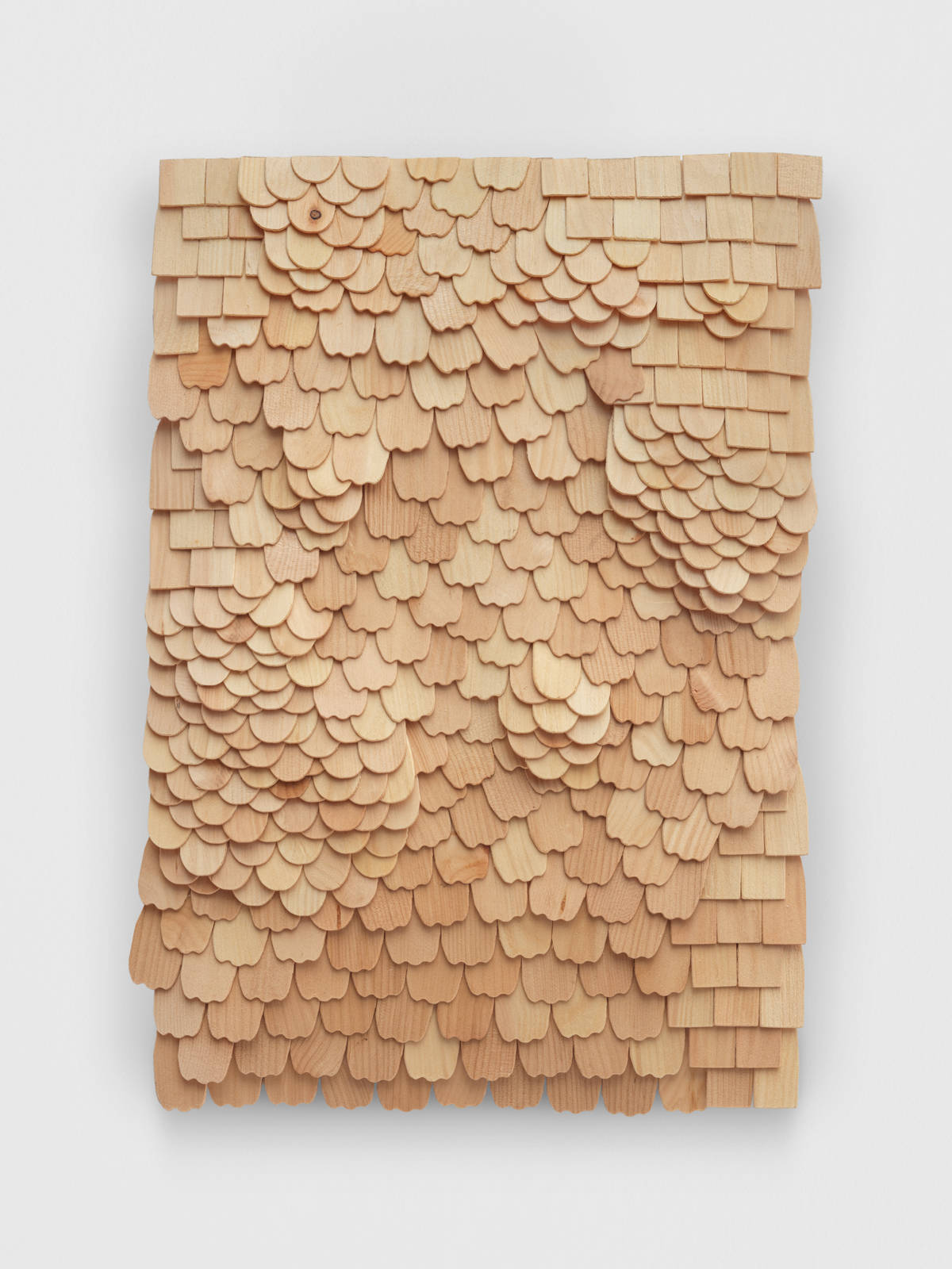 Mirko Baselgia Small Landscape – one river, shaped by obstacles I 2025