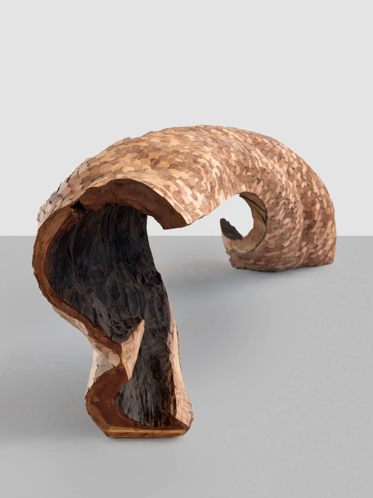 Mirko Baselgia The Turning of the Mind – the form follows 2025