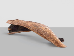 Mirko Baselgia The Turning of the Mind – the form follows 2025