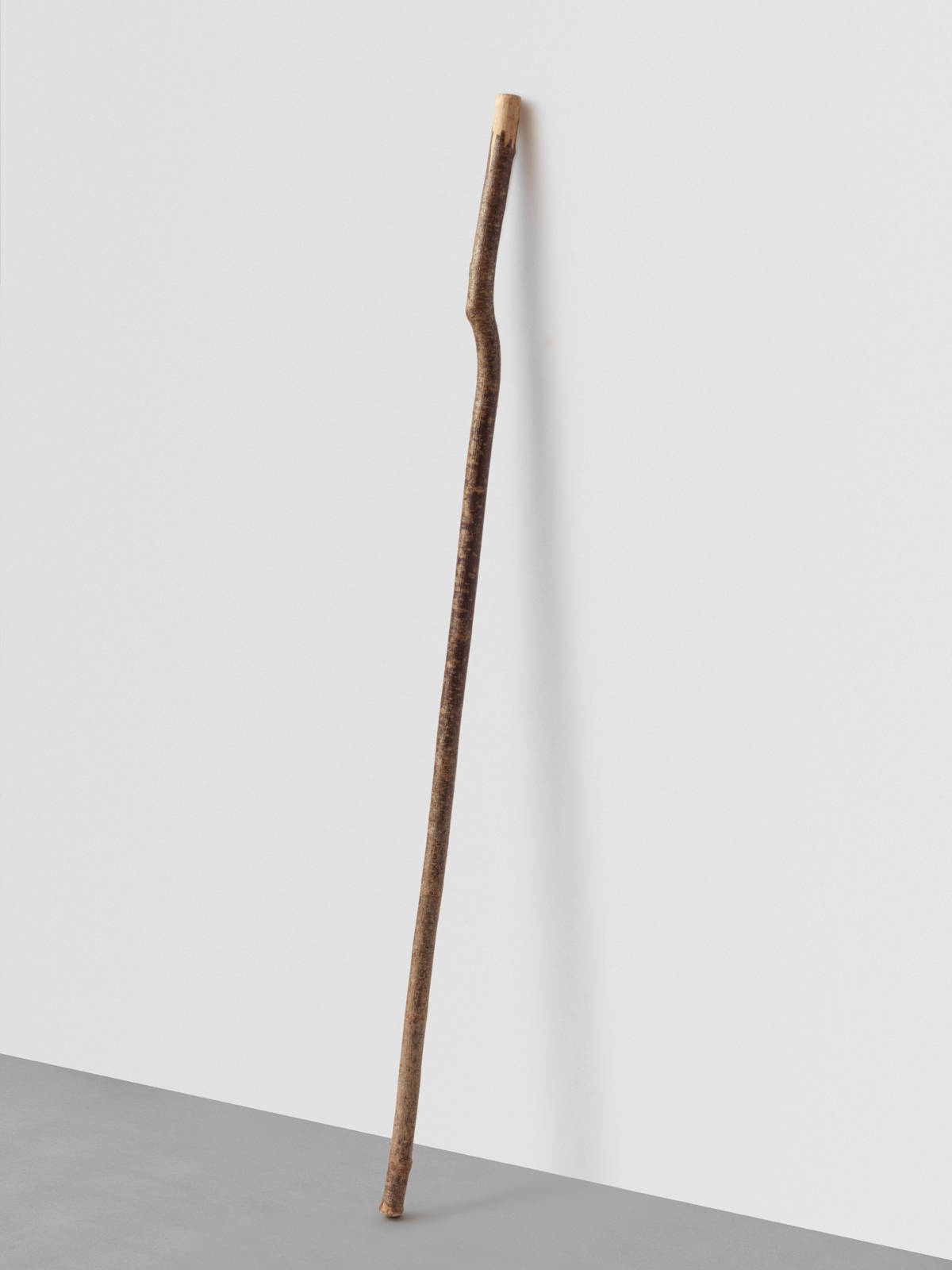 Mirko Baselgia bastung da pelegrinadi 2007