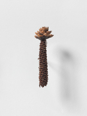 Mirko Baselgia MB-001362 xxxx