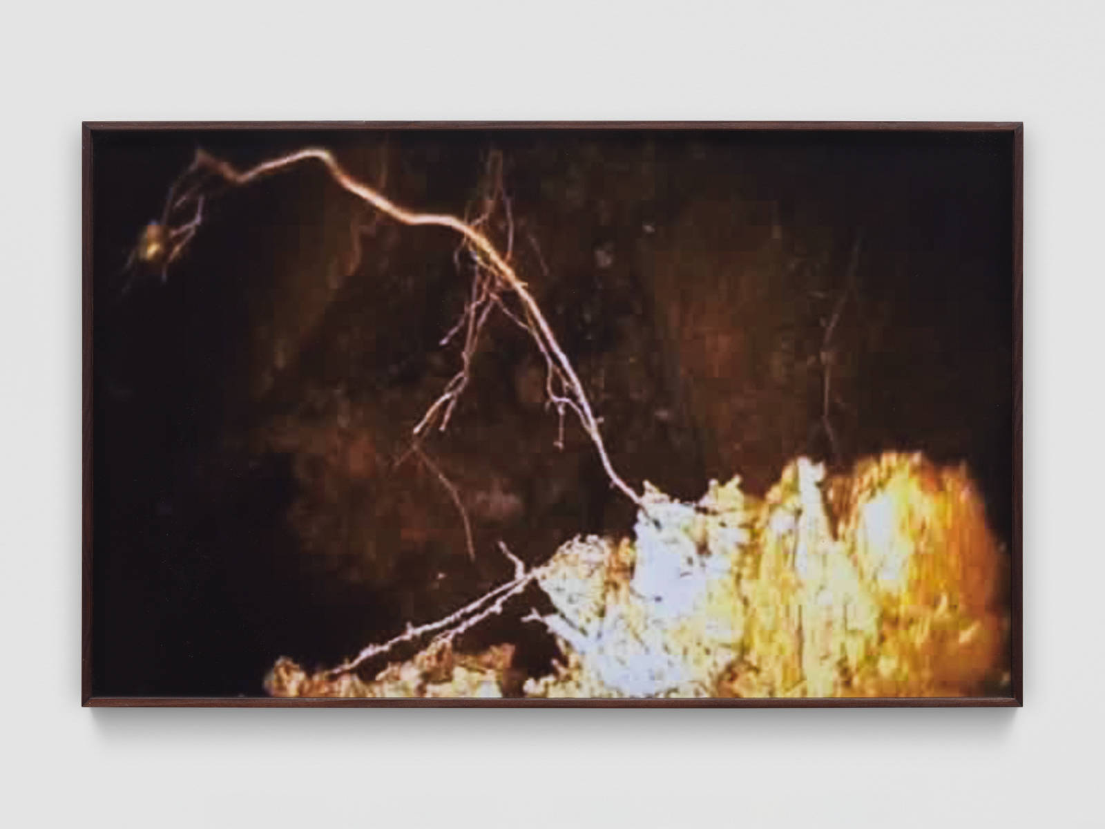 Mirko Baselgia MB-001344_b xxxx