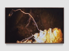 Mirko Baselgia MB-001344_b xxxx