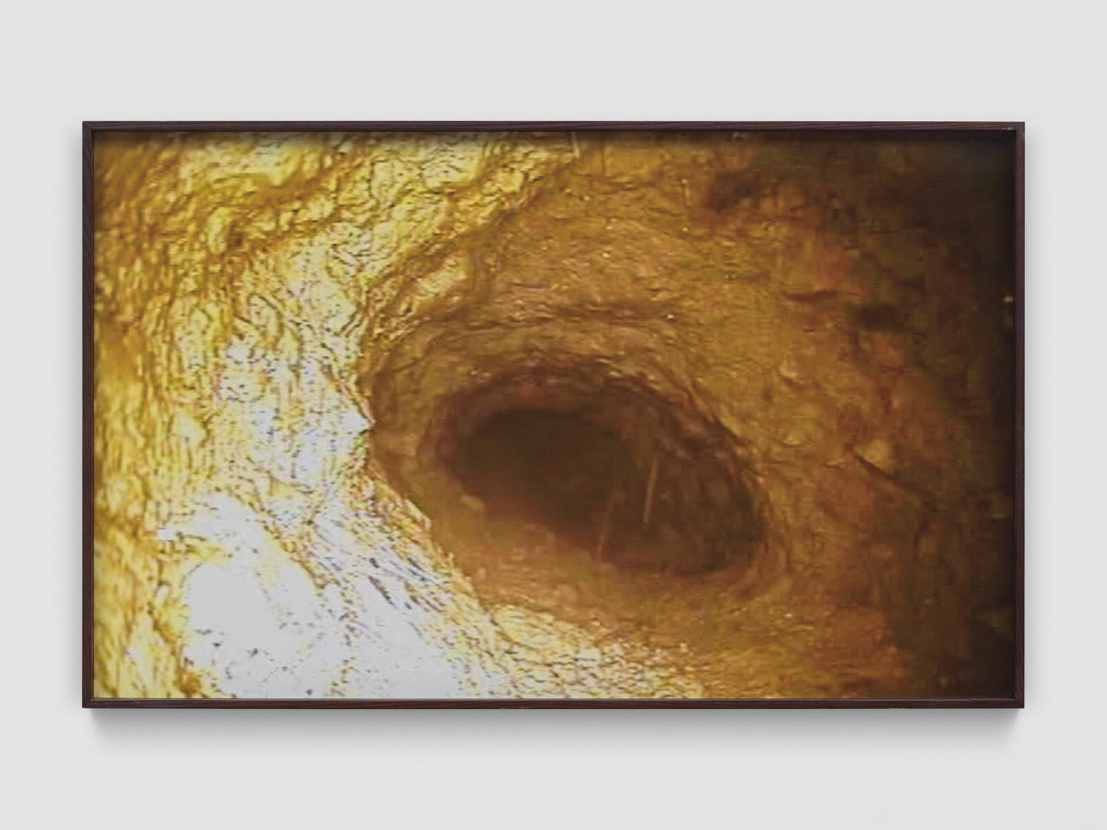 Mirko Baselgia MB-001343_b xxxx