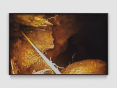 Mirko Baselgia MB-001339_b xxxx