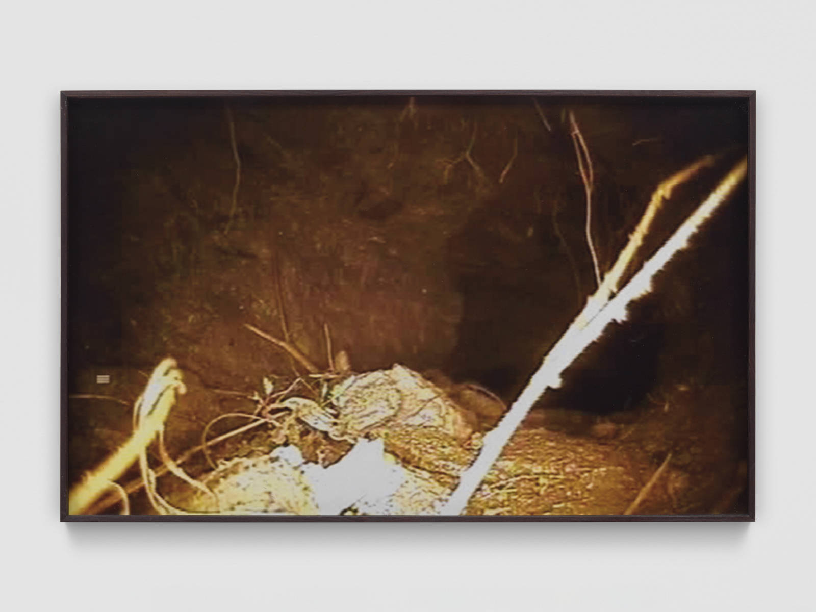 Mirko Baselgia MB-001337_b xxxx