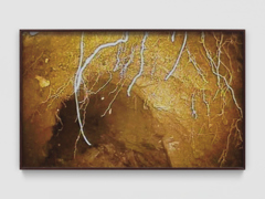 Mirko Baselgia MB-001336_b xxxx