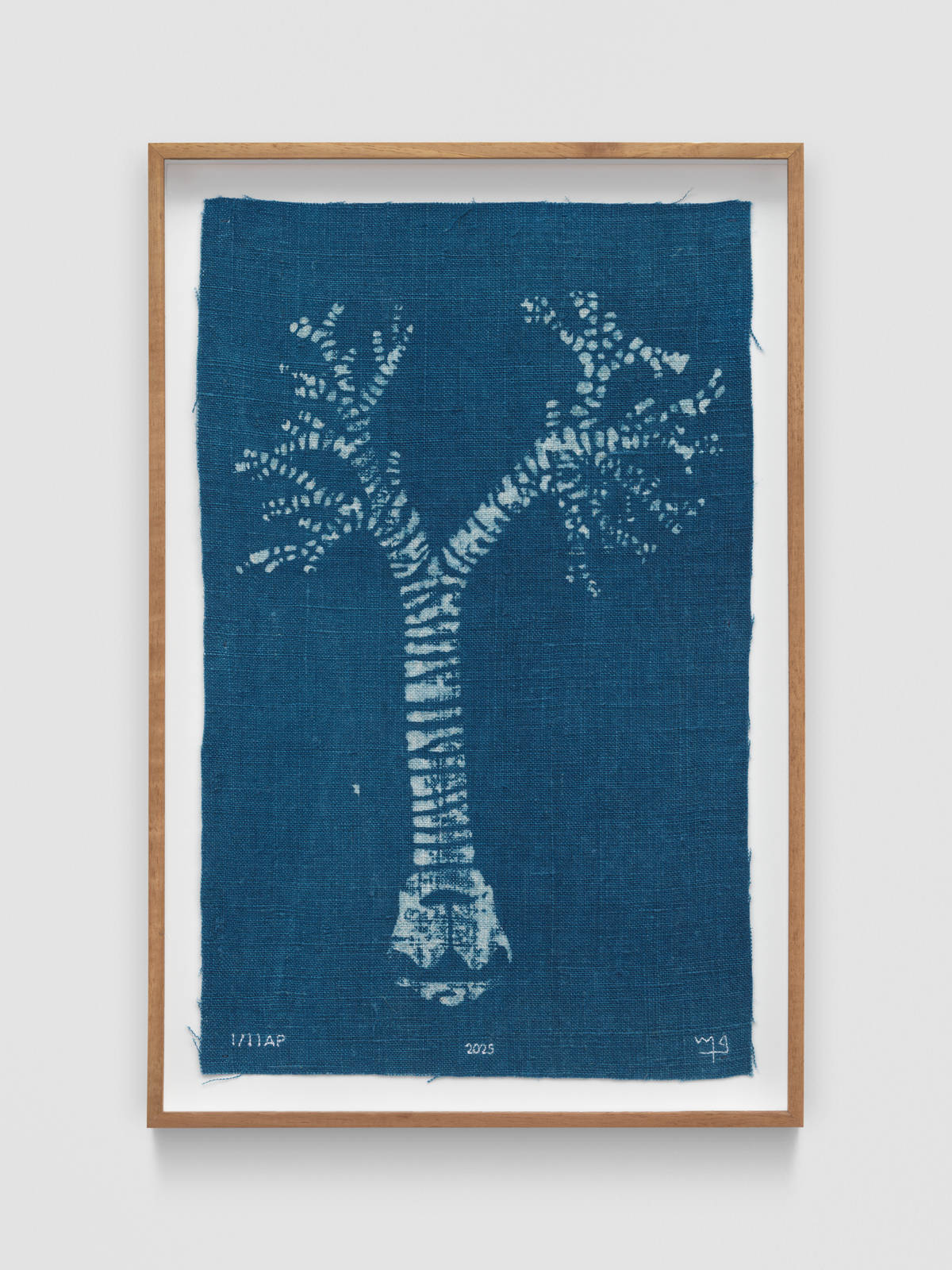 Mirko Baselgia MB-001334_b xxxx