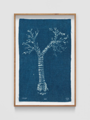 Mirko Baselgia MB-001334_b xxxx