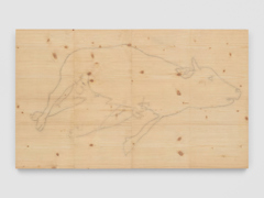 Mirko Baselgia MB-001331 xxxx