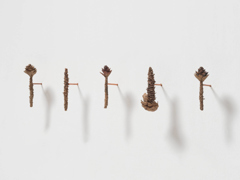 Mirko Baselgia Las flours digl gôt - Sciurus 2018