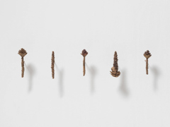 Mirko Baselgia Las flours digl gôt - Sciurus 2018