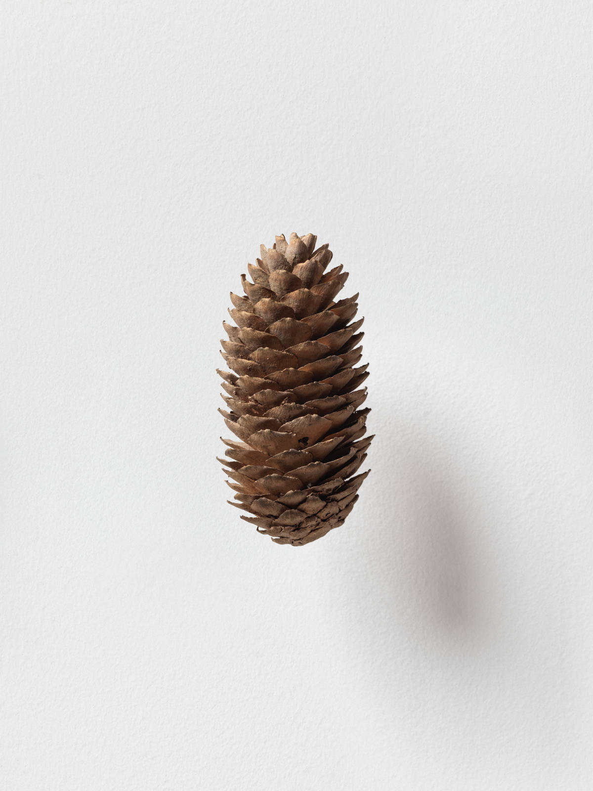 Mirko Baselgia MB-001322 xxxx