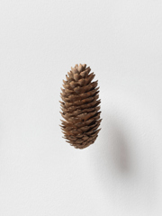 Mirko Baselgia MB-001322 xxxx