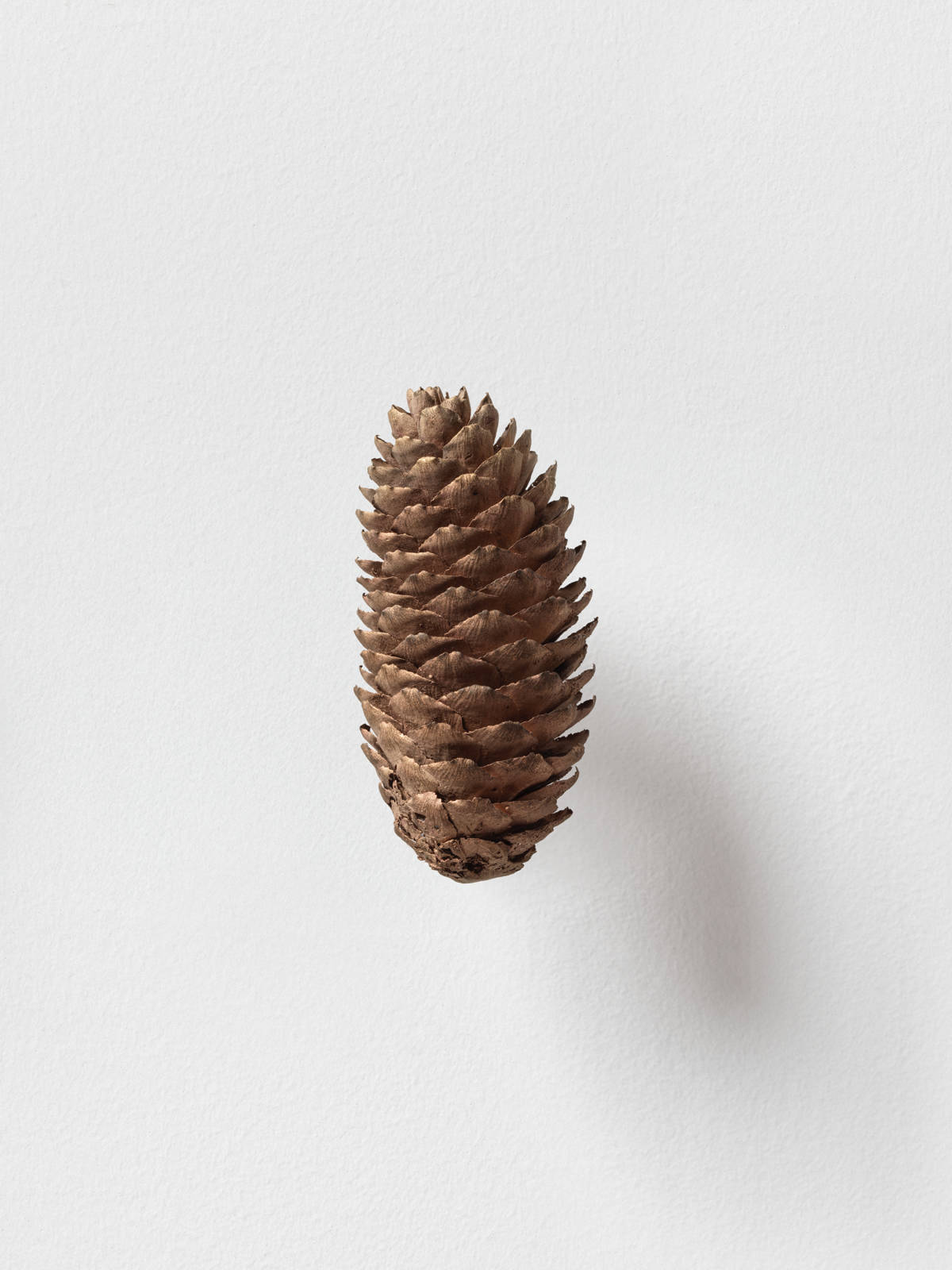 Mirko Baselgia MB-001324 xxxx