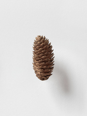 Mirko Baselgia MB-001324 xxxx