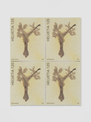 Mirko Baselgia re-respirar 2024