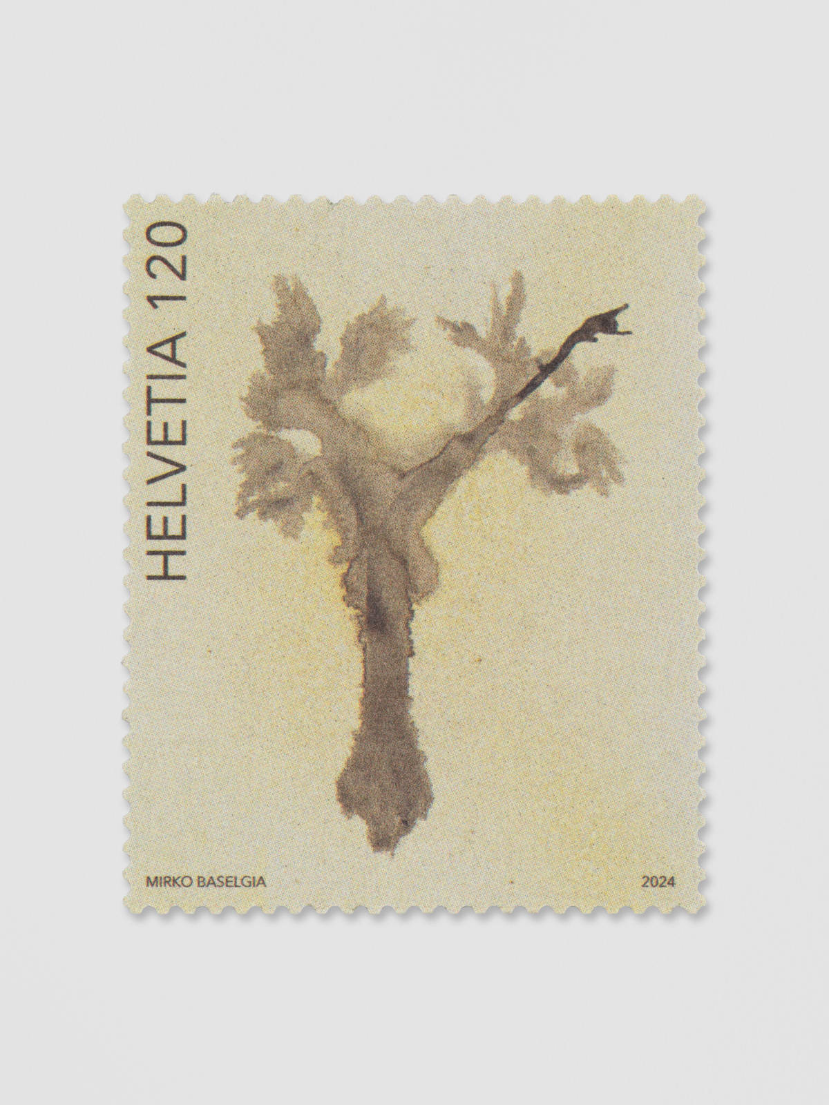 Mirko Baselgia re-respirar 2024