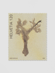 Mirko Baselgia re-respirar 2024