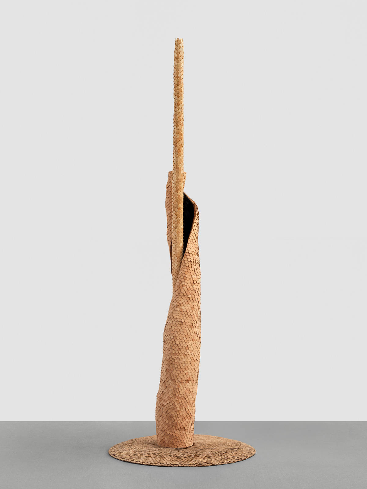 Mirko Baselgia transition 2025