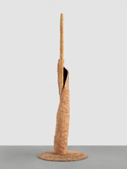 Mirko Baselgia transition 2025