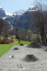 Mirko Baselgia sedimentaziun - insect habitat 2021