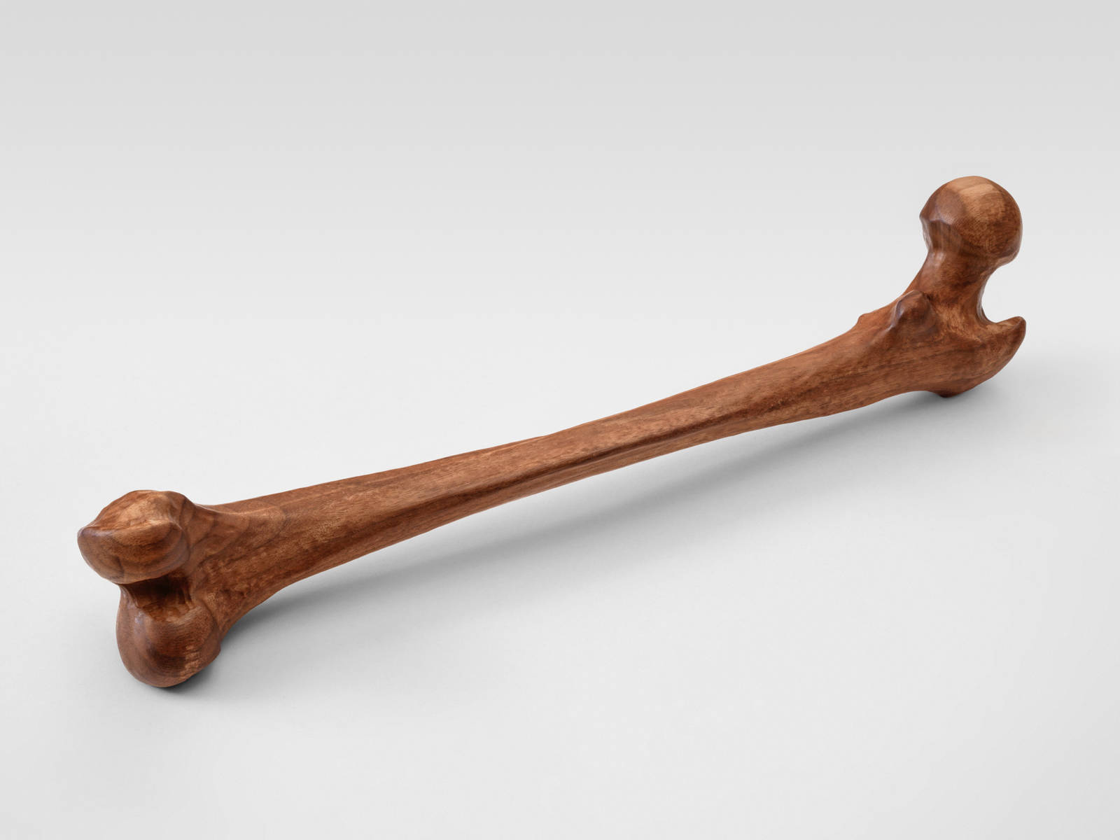 Mirko Baselgia femur 2026