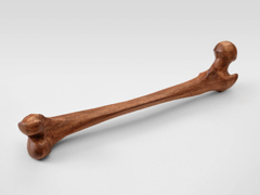 Mirko Baselgia femur 2026